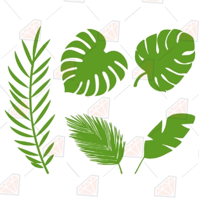 Tropical Leaves Bundle SVG Vector Files, Leaves Clipart File Plant and Flowers