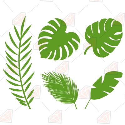 Tropical Leaves Bundle SVG Vector Files, Leaves Clipart File | PremiumSVG