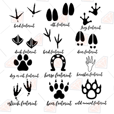 Animal Tracks Bundle SVG, Animal Footprints Clipart Cut Files Wild & Jungle Animals SVG