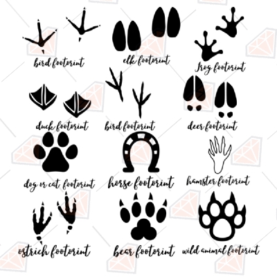 Download Animal Tracks Bundle Svg Animal Footprints Clipart Cut Files Premium Svg