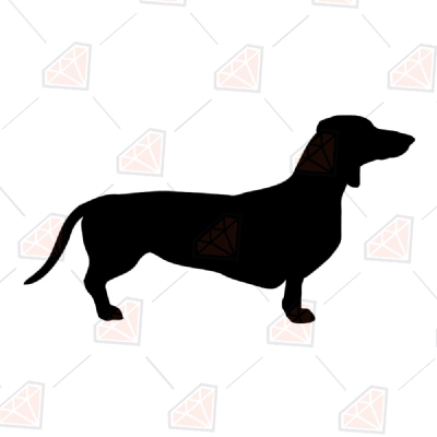 Dachshund SVG, Wiener Dog SVG Clipart File Pets