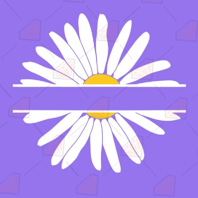 Daisy Monogram SVG, Flower Split SVG Instant Download Plant and Flowers