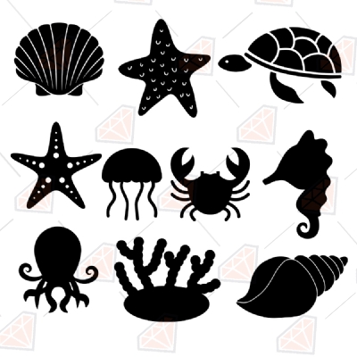 Marine Life Bundle SVG & Clipart Cut Files Sea Life and Creatures SVG