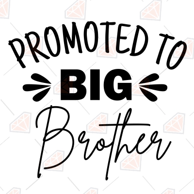 Promoted to Big Brother SVG Cut File, Big Brother SVG Vector Files T-shirt