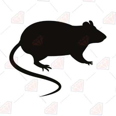 Rat Silhouette SVG Wild & Jungle Animals SVG