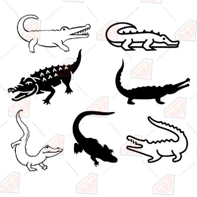 Alligator SVG Bundle Insects/Reptiles