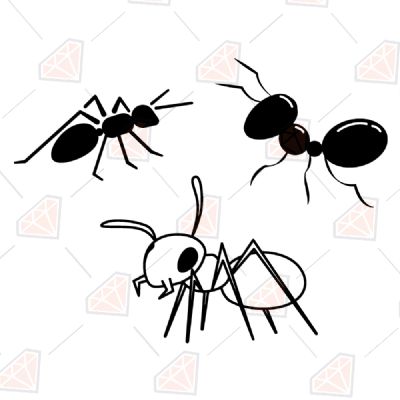 Ant SVG Bundle Insects/Reptiles