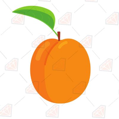 Apricot Fruits and Vegetables SVG