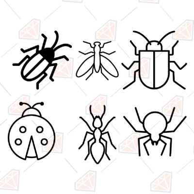 Basic Insect SVG Bundle Insects/Reptiles