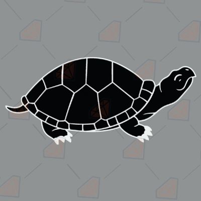 Black And White Turtle SVG Cut File Sea Life and Creatures SVG