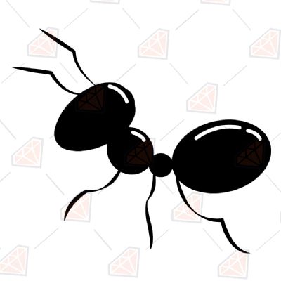 Black Ant SVG Cut & Clipart File Insects/Reptiles