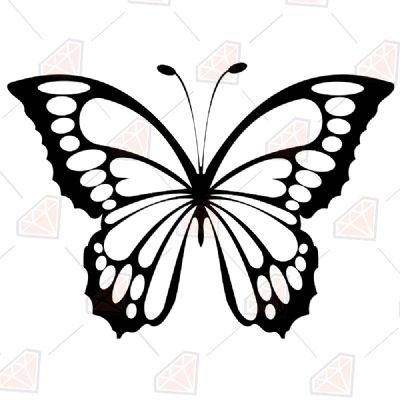 Black and White Butterfly SVG, Layered Butterfly SVG Insects/Reptiles