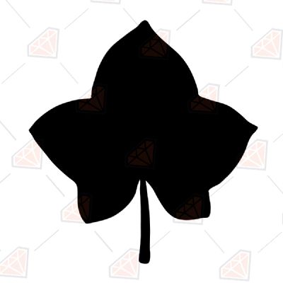 Black Ivy Leaf SVG, Ivy Clipart Vector Instant Download Plant and Flowers