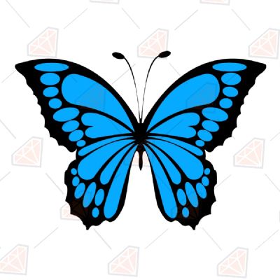 Blue Butterfly SVG Cut File Insects/Reptiles