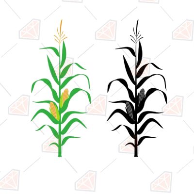Corn Stalk SVG, Corn Plant SVG Vector Files Plant and Flowers