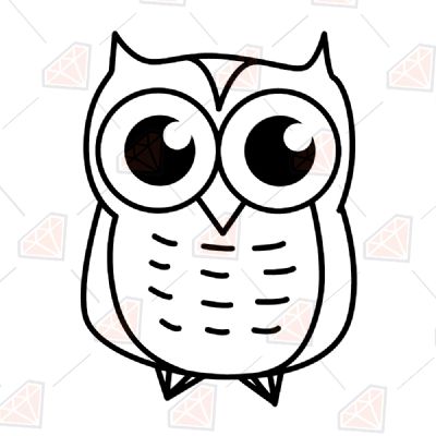 Cute Owl SVG for Cricut, Cute Owl SVG Instant Download Bird SVG