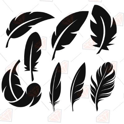 Feathers SVG Bundle, Feathers Vector Files Bird SVG