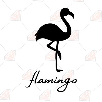 Flamingo SVG Design Bird SVG
