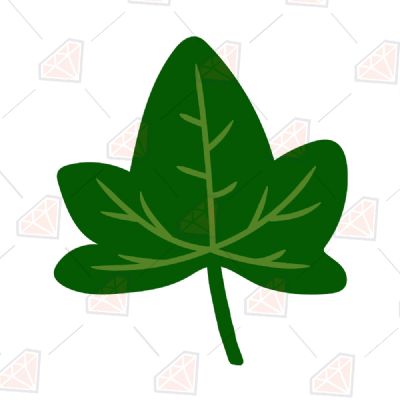 Green Ivy Leaf SVG, Ivy Leaf Vector Instant Download Plant and Flowers