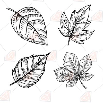 Hand Drawing Leaves SVG, Leaves Bundle SVG Instant Download Plant and Flowers