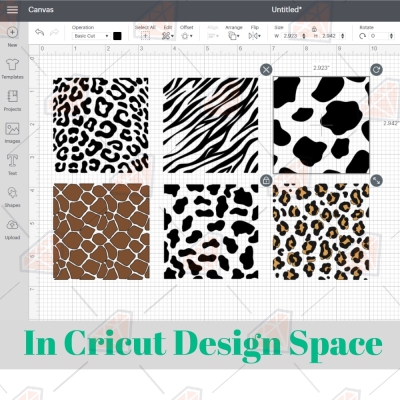 Leopard Print SVG Bundle | Animal Print SVG Leopard Print SVG