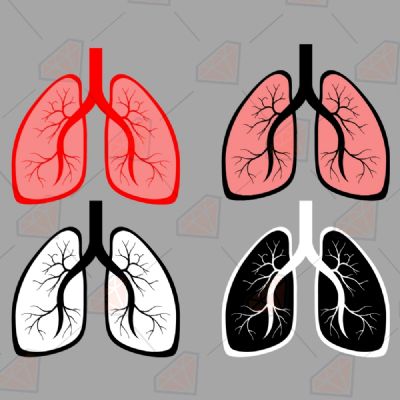 Lungs Bundle SVG, Lungs Vector Files Health and Medical