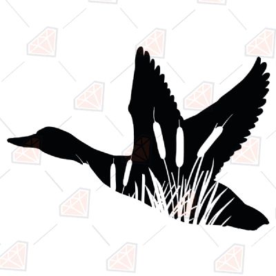 Mallard Duck SVG, Duck Cut File Instant Download Bird SVG