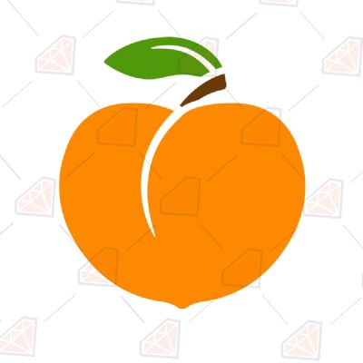 Peach Fruits and Vegetables SVG