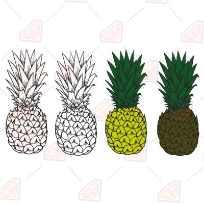 Pineapple Bundle SVG Fruits and Vegetables SVG