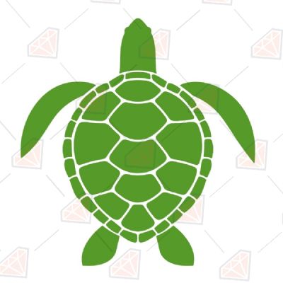 Green Sea Turtle SVG Cut File, Sea Turtle Instant Download Sea Life and Creatures SVG