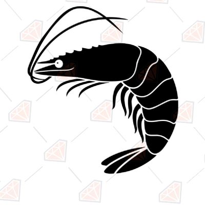Shrimp SVG Sea Life and Creatures SVG