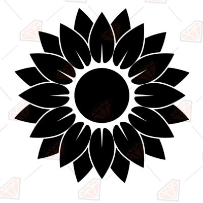 Download Hand Drawn Black Sunflower Svg Premium Svg