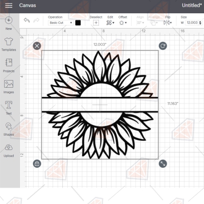 Sunflower Outline Monogram SVG, Monogram Instant Download Sunflower SVG