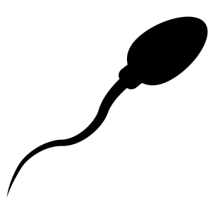 Sperm SVG Cut Files, Sperm Clipart SVG Instant Download | PremiumSVG