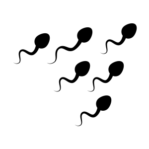 Sperm SVG Silhouette, Sperm SVG Vector Instant Download Vector Illustration