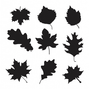 Basic Fall Leaves SVG Cut Files, Leaves Bundle Clipart SVG Plant and Flowers SVG