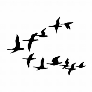 Flying Storks Flock SVG & Silhoette File, Flock of Birds SVG Instant Download Bird SVG