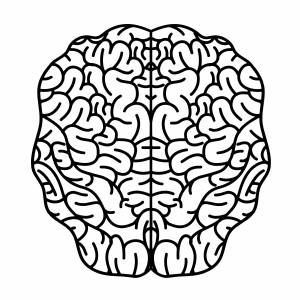 Brain Clipart SVG, Brain Outline SVG Instant Download Vector Illustration