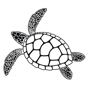 Turtle SVG Vector File, Sea Turtle SVG Instant Download Sea Life and Creatures SVG