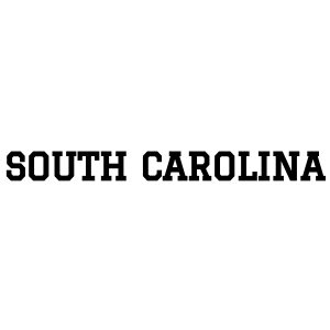 South Carolina SVG, South Carolina State USA Instant Download USA SVG