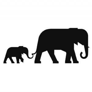 Elephant SVG Cut file, Elephant for Cricut & Silhouettes Wild & Jungle Animals SVG