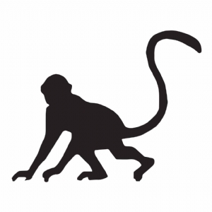 Monkey SVG Cut File, Monkey for Cricut and Silhouette Wild & Jungle Animals SVG