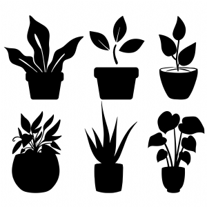 Potted Plant SVG Silhouette, Plants Bundle Clipart Vector Files Flower SVG