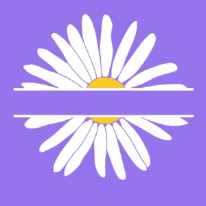 Daisy Monogram SVG, Flower Split SVG Vector Flower SVG