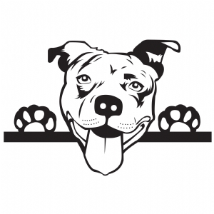 American Pit bull SVG Cut File, Pitbull SVG Instant Download Drawings