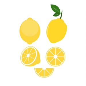 Lemon SVG Bundle, Lemon Clipart Files Fruits and Vegetables SVG
