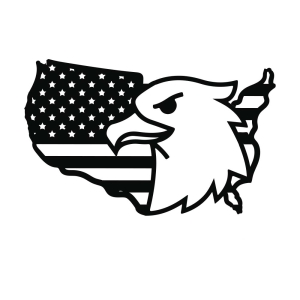 USA Flag with Eagle SVG Cut File USA SVG