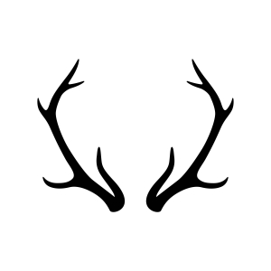 Basic Deer Antler SVG Wild & Jungle Animals SVG
