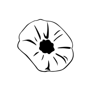 Poppy Flower SVG, Remembrance Day Flower SVG