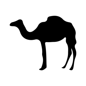 Camel SVG Cut File for Cricut &  Silhouette Wild & Jungle Animals SVG